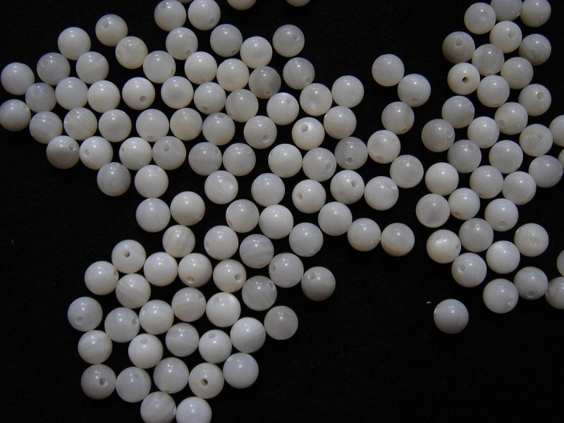 �ޥ������֥ѡ���Υ饦���5mm�����롦10������ shell-5mm