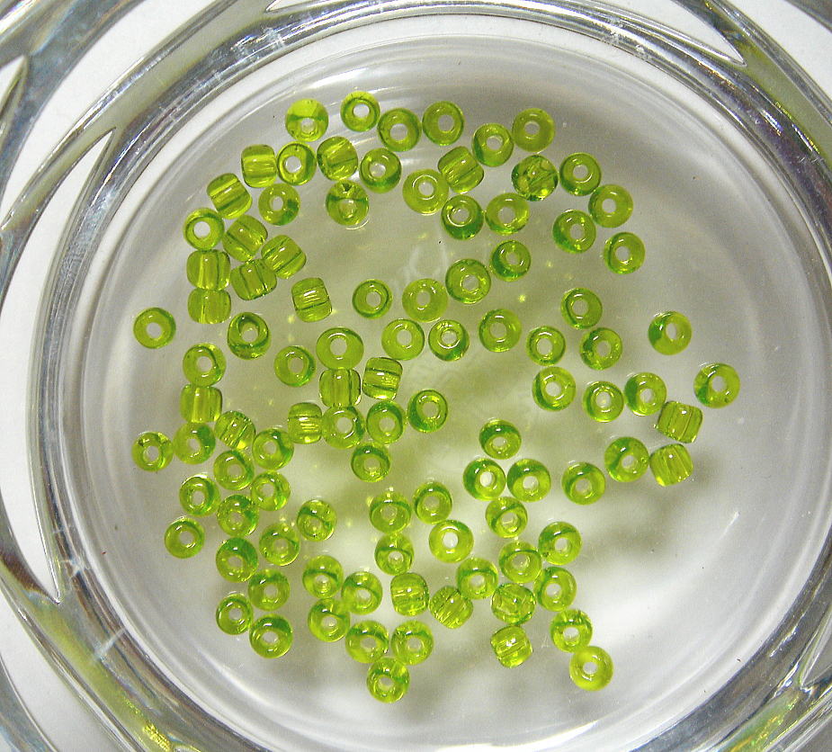 ӡѡ ơɥӡӡ Х ե󥸤ӡɽ seed-17