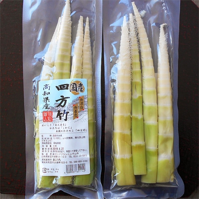 四方竹の水煮 6本セット 約180g 高知産 | すべての商品 | | アグリ