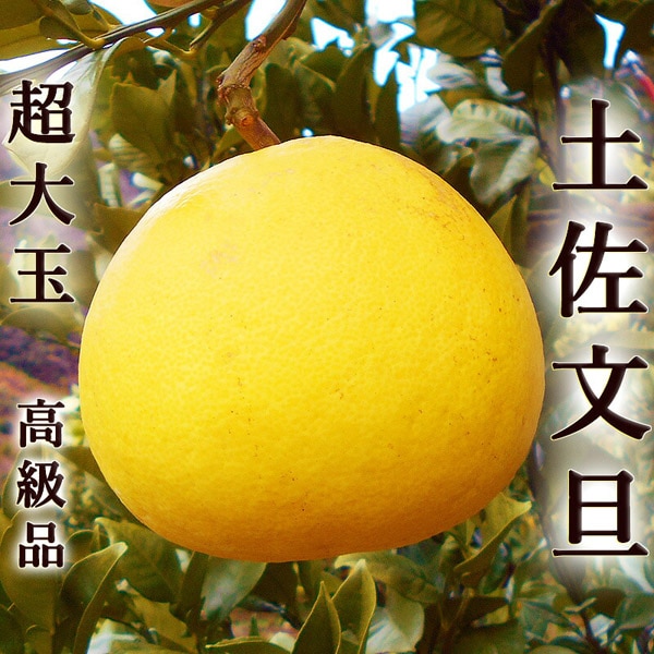 ںʸö 10£ ̥ λ 󥵡