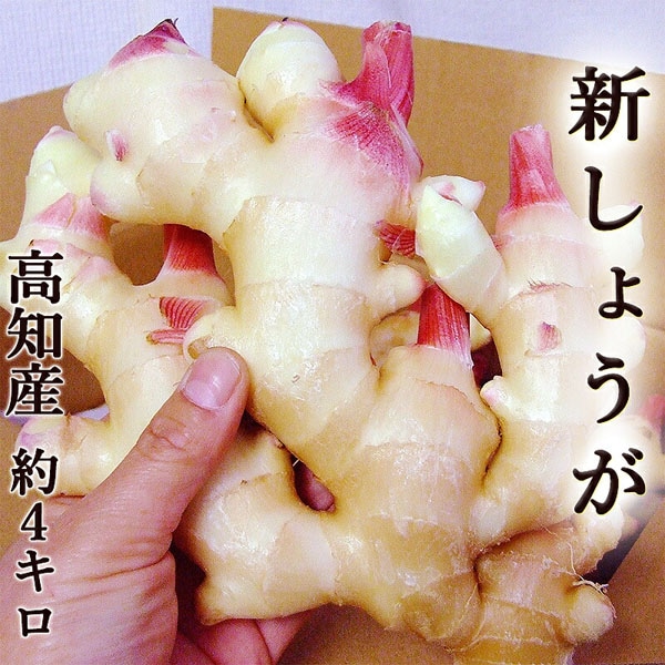 ����ժ ��4���� ���λ� �����礦�� �����祦��