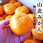 �������ߤ��� 2.4kg ����̵�� ��̸��� �������� ���λ� ���̻� �̡�2�̥����� �Ť� ������ ǻ�� �ߥ��� ̪�� �����ߤ��� ���ե�