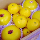 �ԣ�����ܤ����ȯ���Ȥʤ�ޤ���Ϫ��ʸö�ȥϥ������ƥ��å�