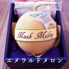 񥫡ɡ ɥ ޥ Υ 1.3  åԥդ 鲽Ȣ λ ̵