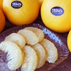 ʸö�󣱣����Ȥ�����ߣ���