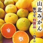�������ߤ��� 2.4kg ����̵�� ������ ���λ� ���̻� M����L������ �Ť� ������ ǻ�� �ߥ��� ̪�� �����ߤ��� ���ե�