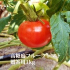 �����٥ե롼�ĥȥޥ� �󣱥��� £���� ����Ȣ����