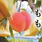 �� ��� ��2kg ����� ����̵�� 5��9���� ��� ��� ������˱ ��˱ �����Ĥ� �ʤĤ��Ȥ� �ʤĤä� ��ʪ �ե롼�� ������