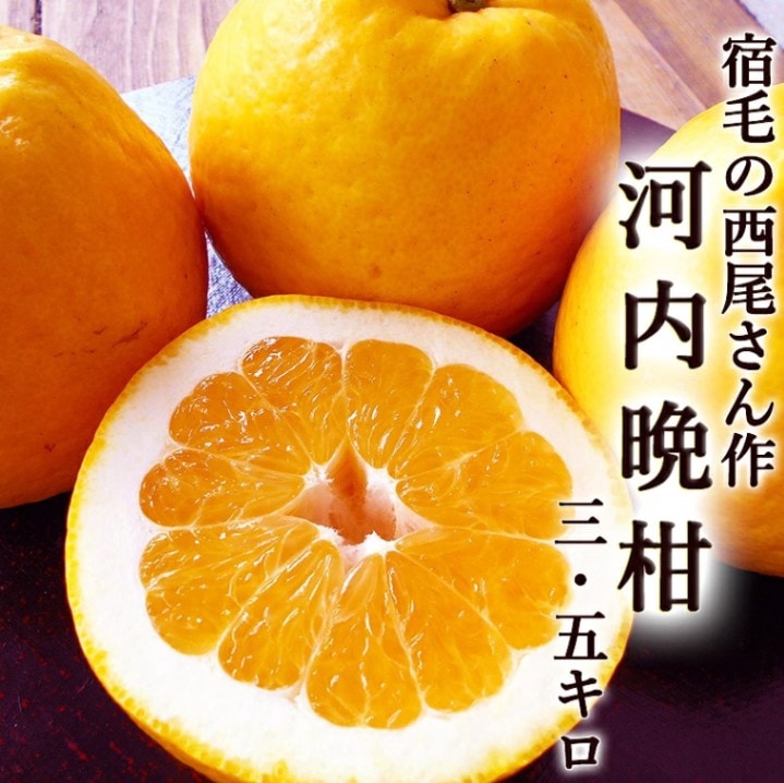 �����մ� 3.5kg ��������β����մ� ����̵�� ���θ����ӻ� 8��11��