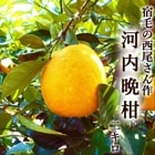 �����մ� 2kg ��������β����մ� ����̵�� ���θ����ӻ� 4��7��