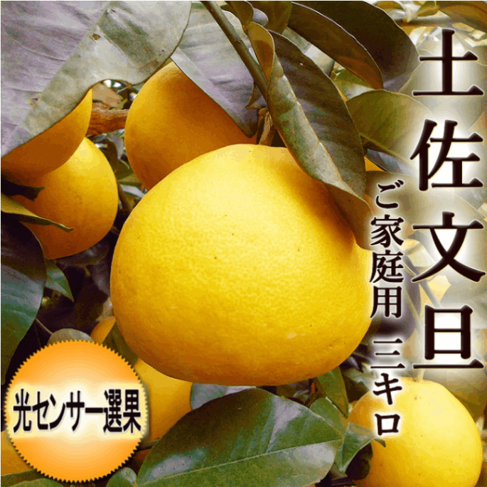 �ں�ʸö 3kg Ϫ�Ϥ֤󤿤� ���λ� �����󥵡����� �������� ���̥����� ����̵�� 