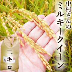 ���� �ߥ륭���������� 2kg ����7ǯ�� ����̵��