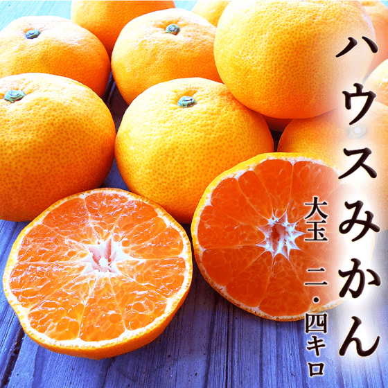 ���λ� �ϥ����ߤ��� ��� 2.4kg ����̵�� 3�̥�����  �����󥵡�����