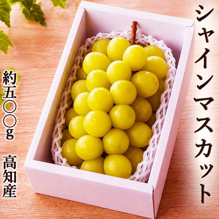 ���㥤��ޥ����å� ��500g ����̵�� ����Ȣ�� ���λ� 40γ�ۤ�