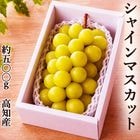 ���㥤��ޥ����å� ��500g ����̵�� ����Ȣ�� ���λ� 40γ�ۤ�