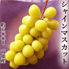 ���㥤��ޥ����å� ��500g ����̵�� �������� ���λ� 40γ�ۤ�