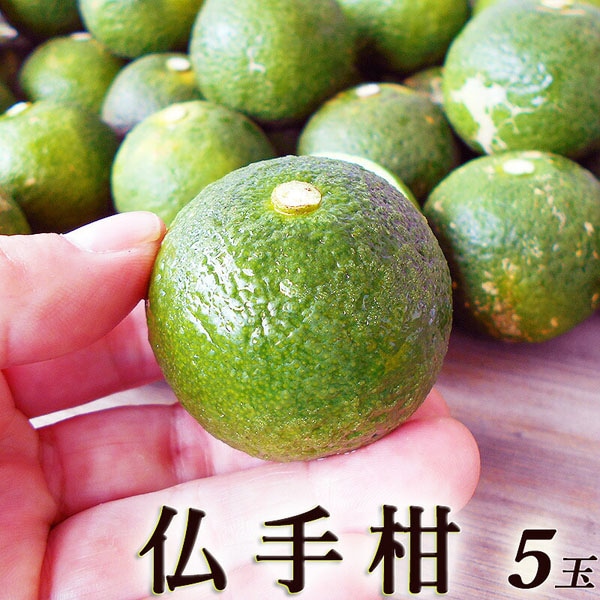 仏手柑型鈴 仏手柑型鈴