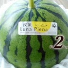 ��ʡ��ԥ��� ��餹���� ���θ����Į�� �󣲥��� ���ٸ����� ����̵��