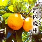 �����մ� ��7kg ��������β����մ� ����̵�� ���θ����ӻ� 16��22��