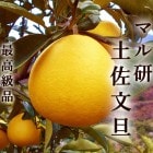 �ޥ븦 �ں�ʸö ��10���� �ǹ���� Ϫ�Ϥ֤󤿤� ���λ� �����󥵡����� �ݸ� �ޥ륱�� �ݸ����� ��£���� ���̡����̥����� ����̵�� ʸö �֥󥿥� �֤󤿤� �ܤ󤿤� ���� ���ե� �ץ쥼��� �ե롼�� �ߤ���