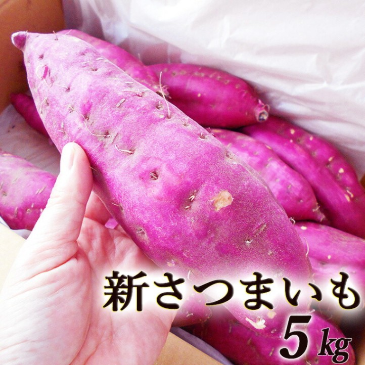 �����Ĥޤ��� �󣵥��� ���λ��������绺 �ں��� ������ ����̵��