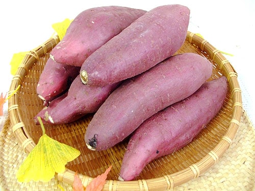 紅はるか べにはるか 約5キロ M～Lサイズ 高知産 新種の蜜芋 焼芋専用