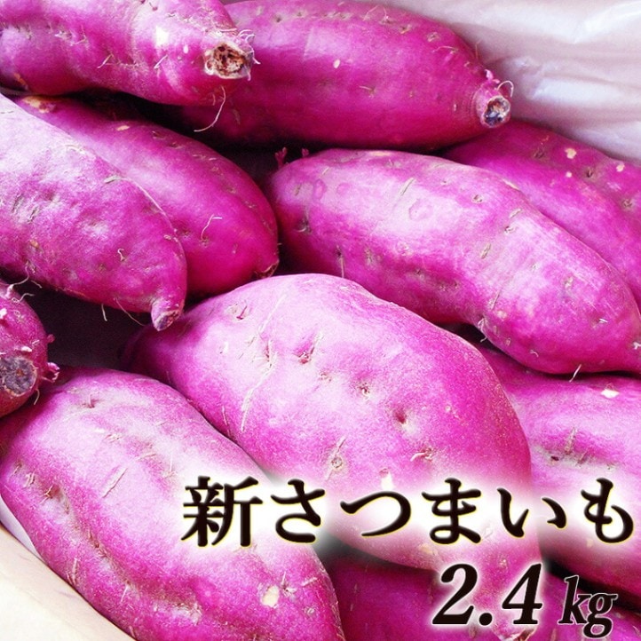 �����Ĥޤ��� ���������� ���λ��������绺 �ں��� ������ ����̵��