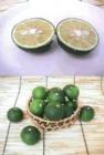 �����绺�������ʽ�����ꡦ��ͽ���ʡ��󣲣������
