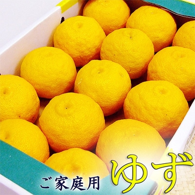 �椺 ͮ�� �������� �󣱣�� ����̵�� ��������