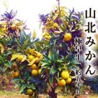 �������ߤ��� ��5kg ����̵�� �������� ���λ� ���̻� M����L������ �Ť� ������ ǻ�� �ߥ��� ̪�� �����ߤ��� ���ե�