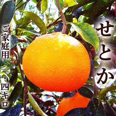 ���Ȥ� 1.4���� ���λ� ��������