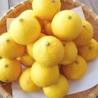 ��Ȥ���β��ⴻ 1.4kg ���̥����� ���λ� �������� ����̵��