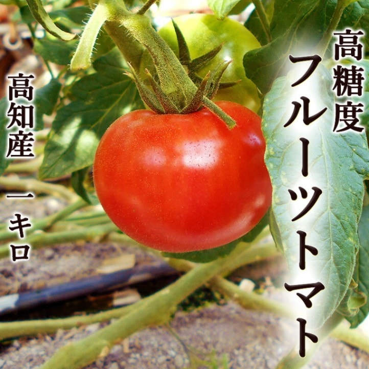 �����٥ե롼�ĥȥޥ� �󣱥��� ��������