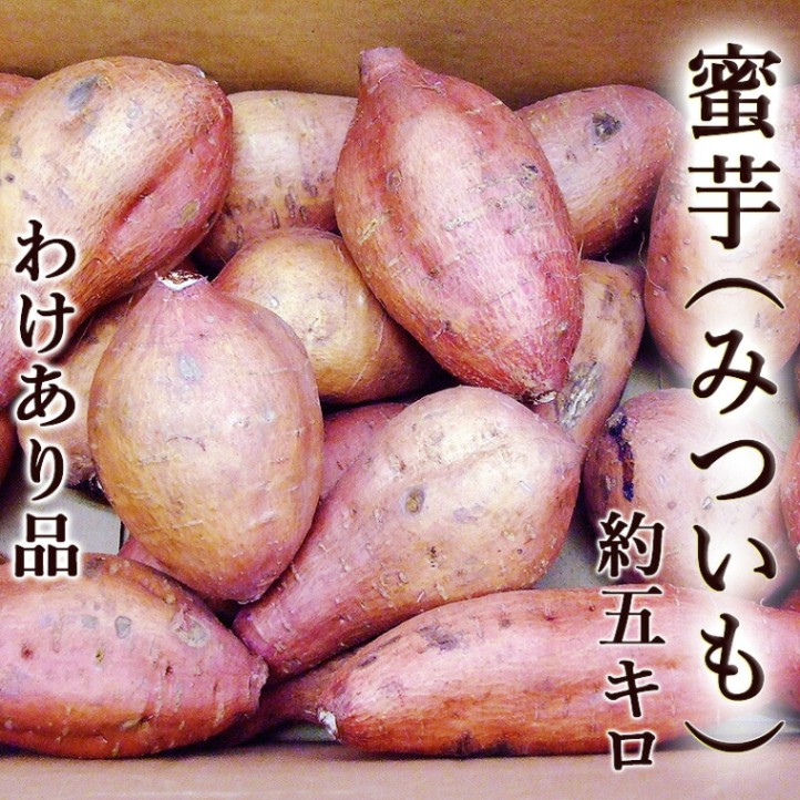 ̪�� �ߤĤ���  �櫓���� ��Ǽ���ʼ� ��5���� �Ƥ������� M��L������ ���λ� �ư����ѡ�����̵��