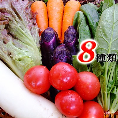 �Ȥ줿����� �����ॻ�åȵͤ��碌 ���λ� �쥷�ԡ��ɲõ�ǽ�դ� ����̵�� [Qv10]