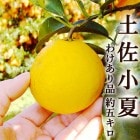 �櫓���� �ں����� ��5���� ���λ� �������� �̡�2�̥����� ����̵��