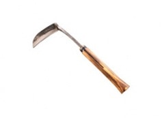 ���𤽤���ʾƤ��������סˢ���572-702�ˡ������Ѥμ���Ǥ��������ʤҤ��꤭�����Ѥ⤴�����ޤ�