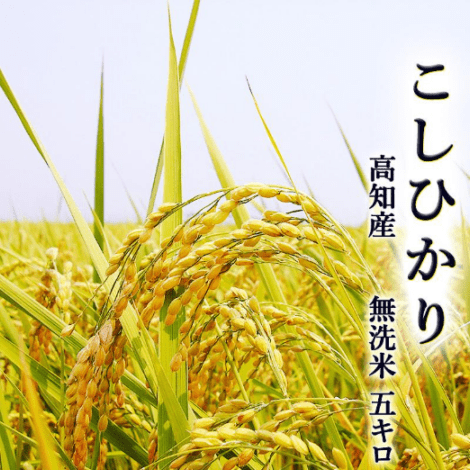 �ڿ��ơ�����8ǯ �����Ҥ��� 5kg ̵���� ���θ��� ���£�ǯ��