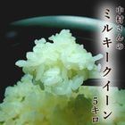 �ڿ��ơۥߥ륭���������� 5kg ����8ǯ�� ����̵�� ��¼����Υߥ륭���������� ���λ� ������ Ǵ�� ���Ƥ⤪������ ���ˤ��ꡦ�������ˤ�������