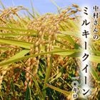 �ڿ��ơۥߥ륭���������� 10kg ����8ǯ�� ����̵�� ��¼����Υߥ륭�������� �� ���λ� ������ Ǵ�� ���Ƥ⤪������ ���ˤ��ꡦ�������ˤ�������