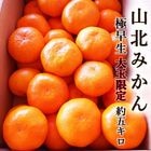 �������ߤ��� ��5kg ����̵�� ��̸��� �������� ���λ� ���̻� �̡�2L������ �Ť� ������ ǻ�� �ߥ��� ̪�� �����ߤ��� ���ե�