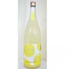 �����������ƥꥭ�塼�롡��500���� �ˡ��ʵ�����¤���ں��ԡˡ�152831�ˢ�[sake]�������ظ��ꡦ������̤�������Ϥ��㤤ʪ�Ǥ��ޤ���