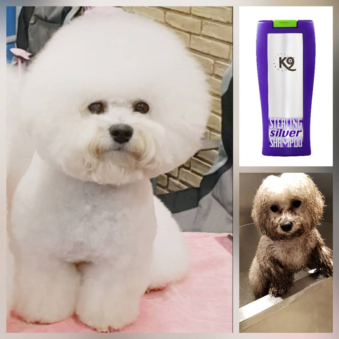 K9 ���ơ���󥰥���С������ס����򤤸��ѡ�