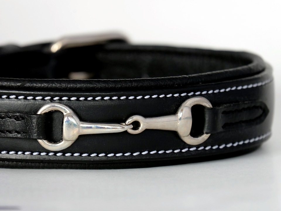 �쥶���ɥå����顼�ʥϥߡ˥֥�å�