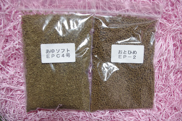 ���ȤҤᡦ���楽�եȤ�����åȡ�1�����ʸ�ˣ��ĸ����