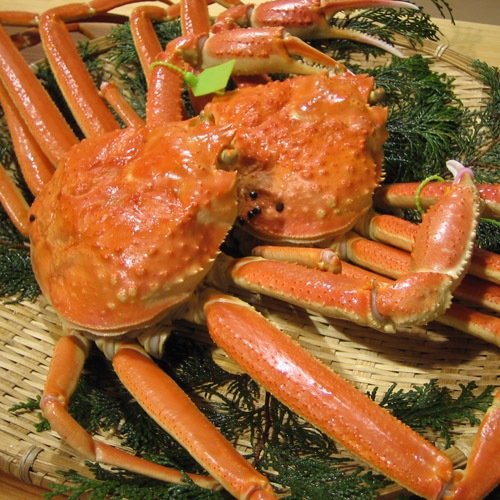 【茹】松葉ガニ1本足トレ(約1.1kg~1.2kg)