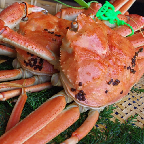 【茹】松葉ガニ・特大1本足トレ(約900g~1kg)
