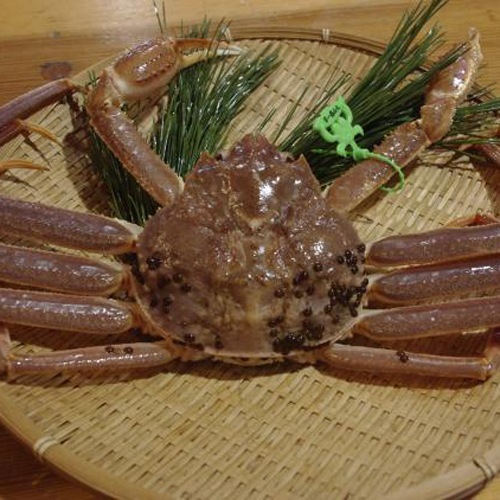 【活】松葉ガニ・特特大　(約1kg～1．1ｋｇ)