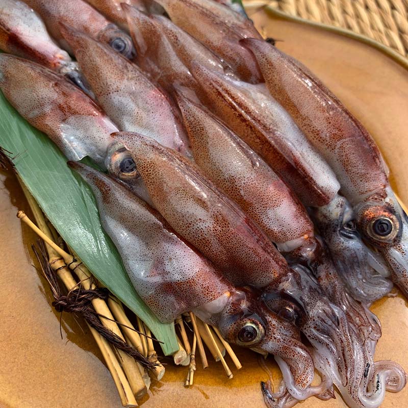 香住産 ホタルイカ(生冷凍) 1Kg入り