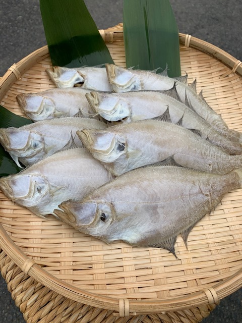 エテカレイ一夜干し箱7枚~8枚入り